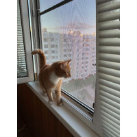 "Antikaķu" moskītu tīkls