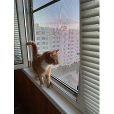 "Antikaķu" moskītu tīkls