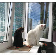 "Anti-cat" mosquito nets