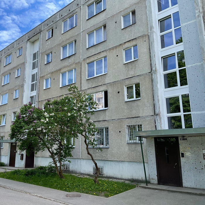 Jaunais lietuviešu projekts